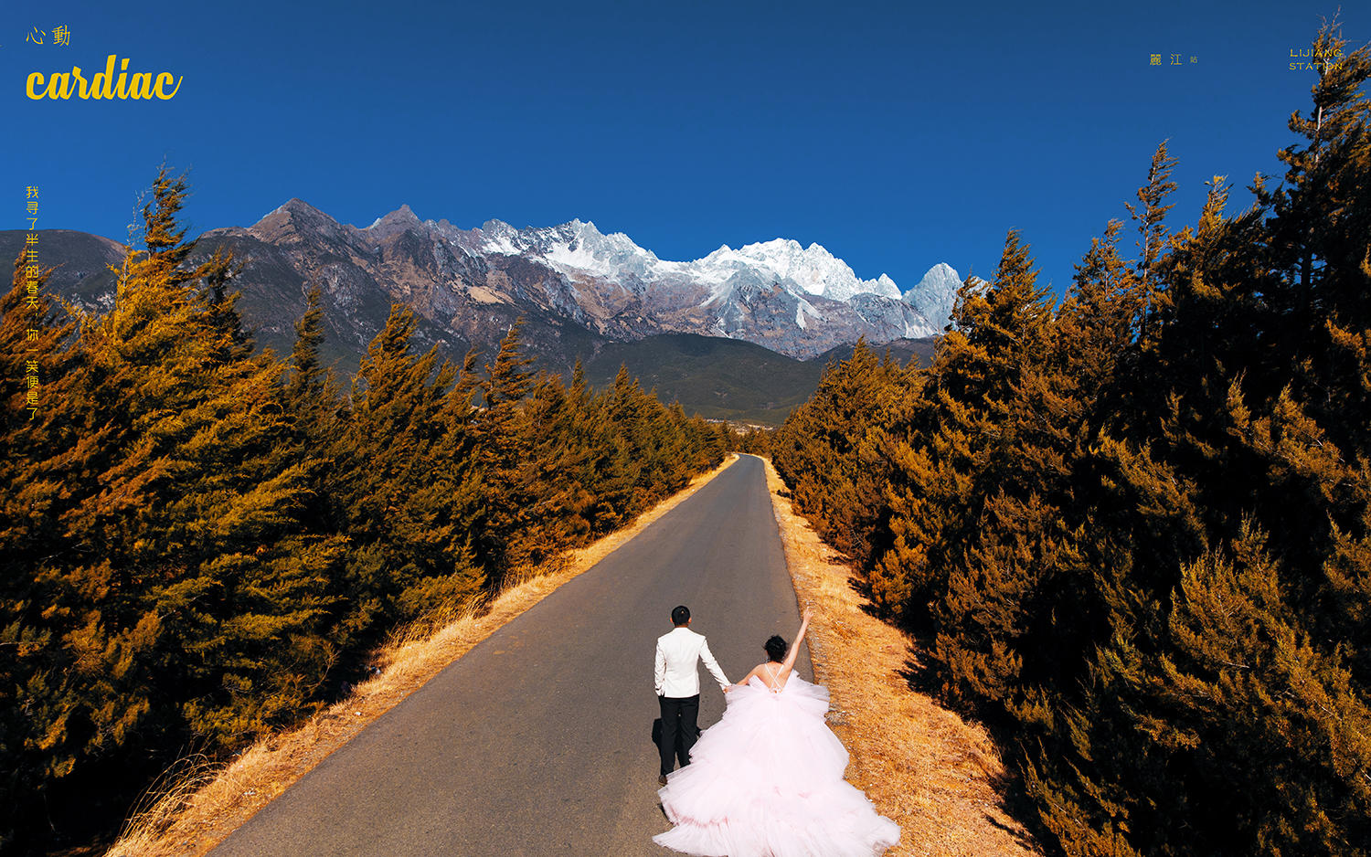 云杉坪/牦牛坪/立减2000/接机住宿/