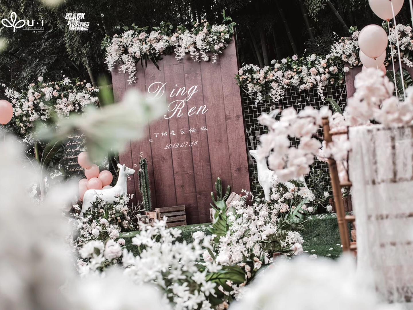 【精灵的心思】薄雾借春色的绿意追逐于云间