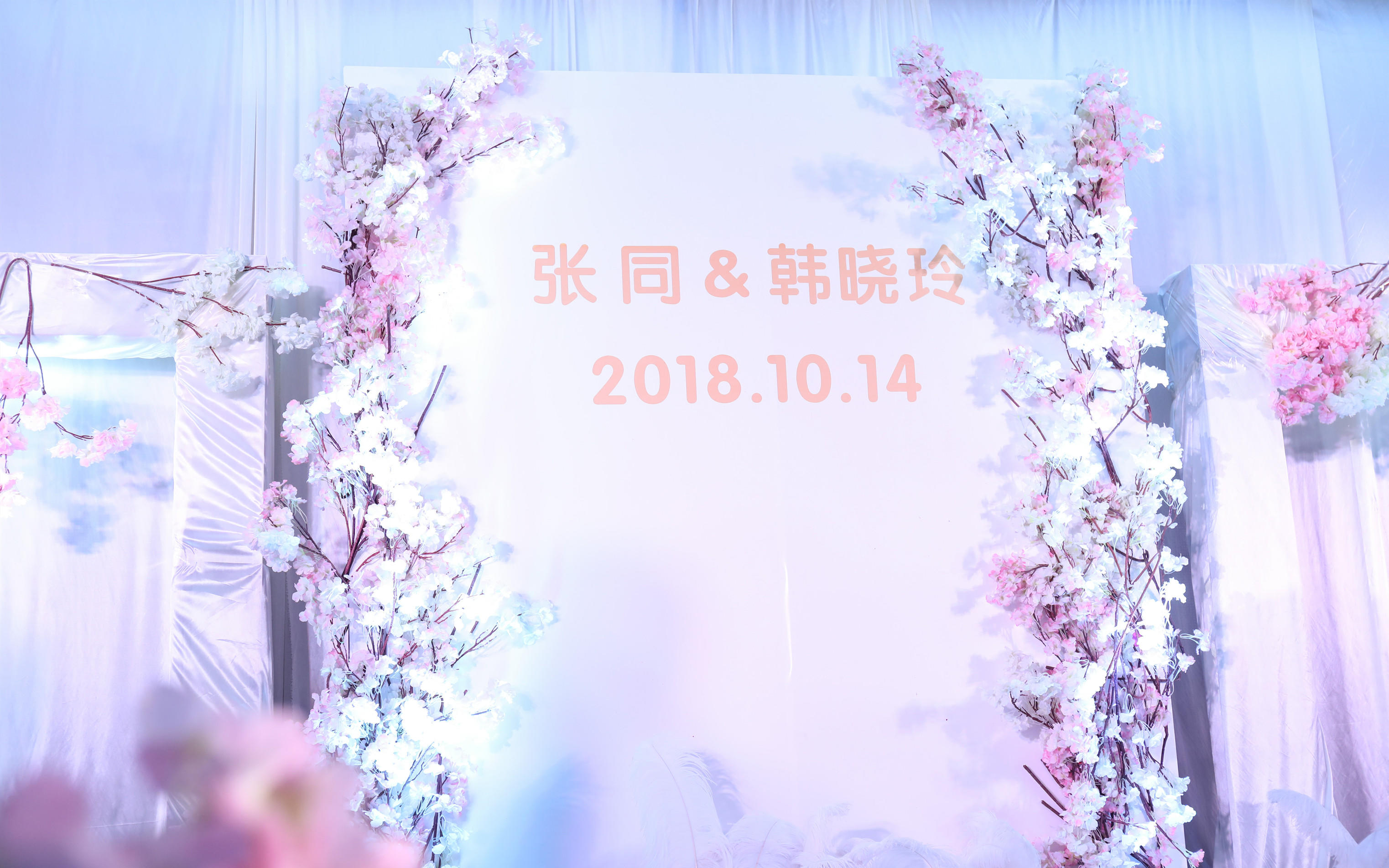 【菠萝蜜婚礼】全新套系今日上线~！（樱花粉色）