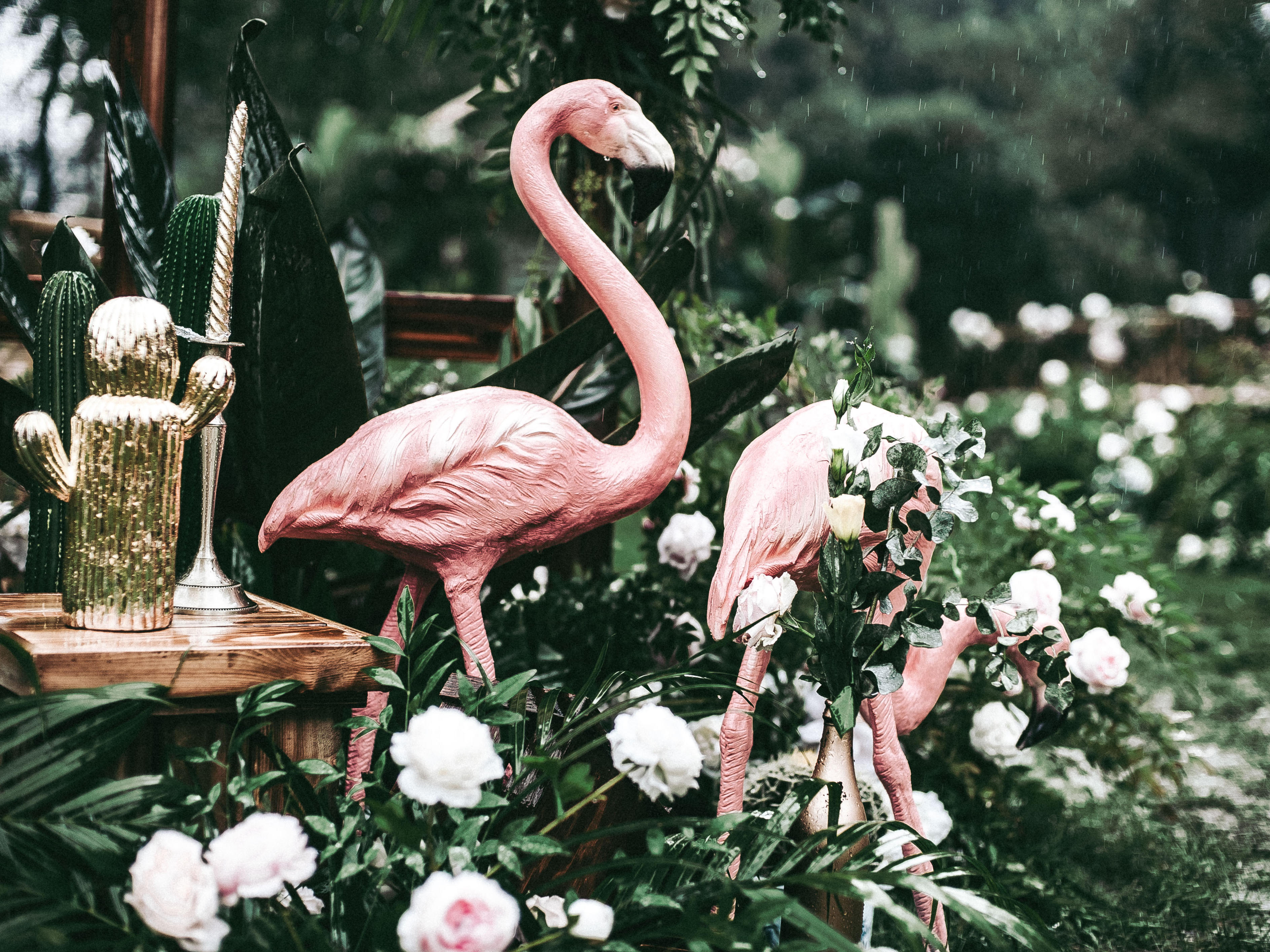 醒AWAKEN|ins风精致户外婚礼