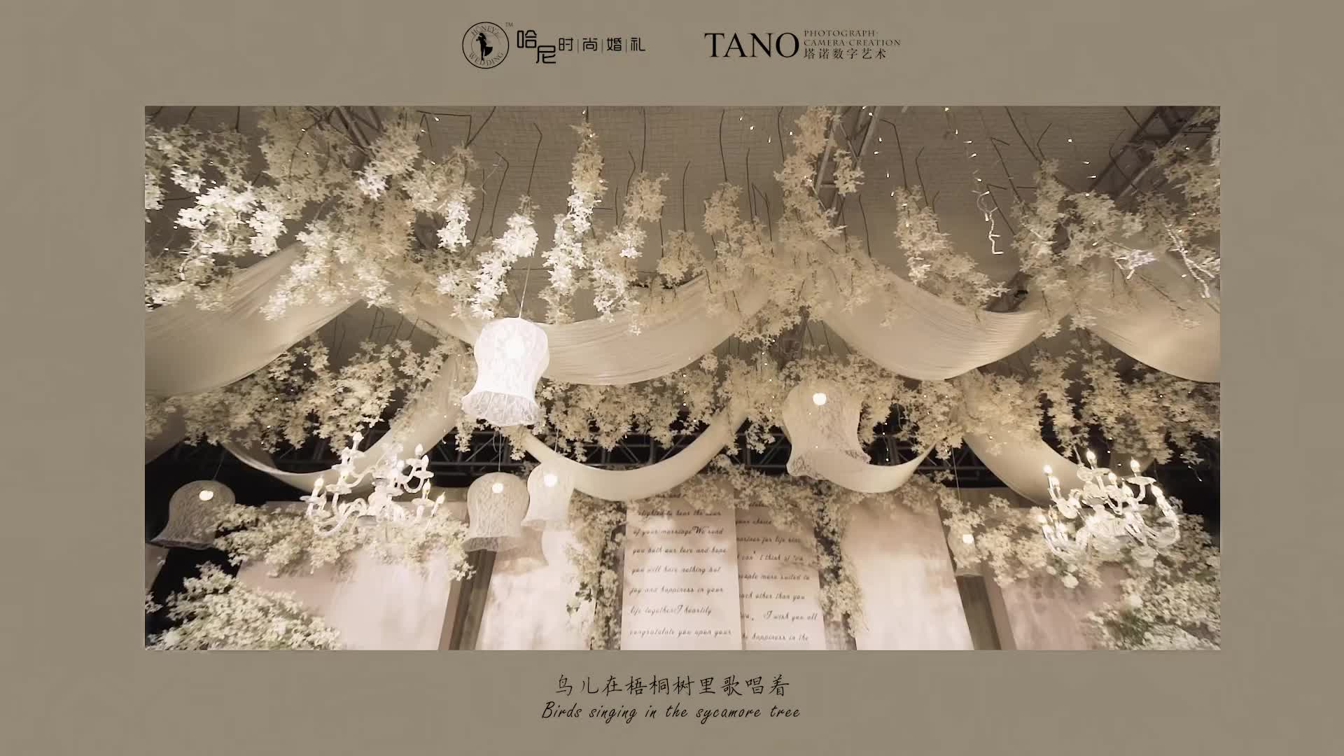 定制婚礼-韩系香槟色-万达文华 | 哈尼