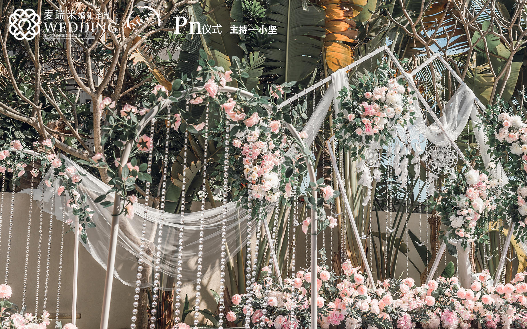 【含资深四大】Morning melody 