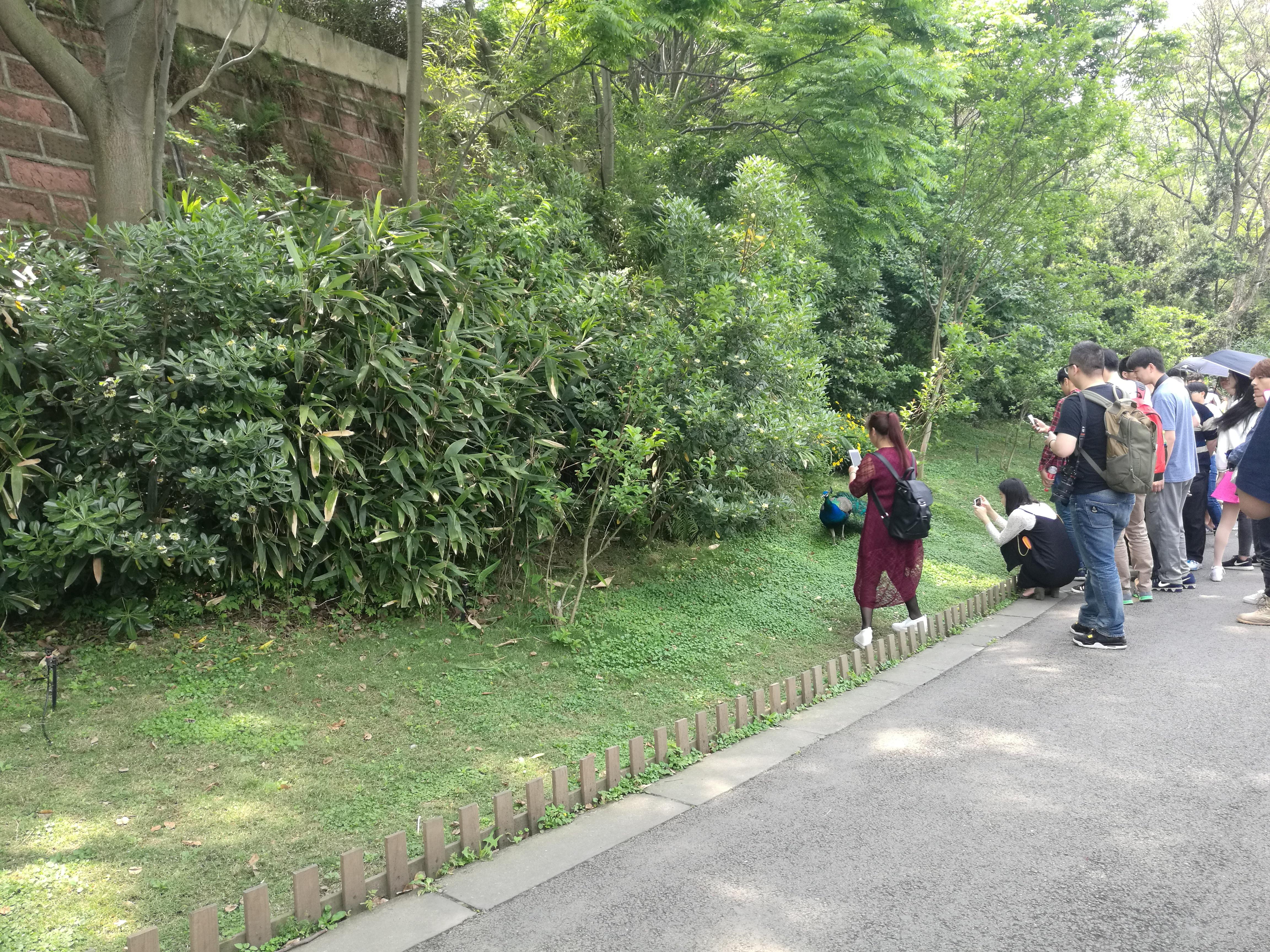 测试_花艺甜品套餐123