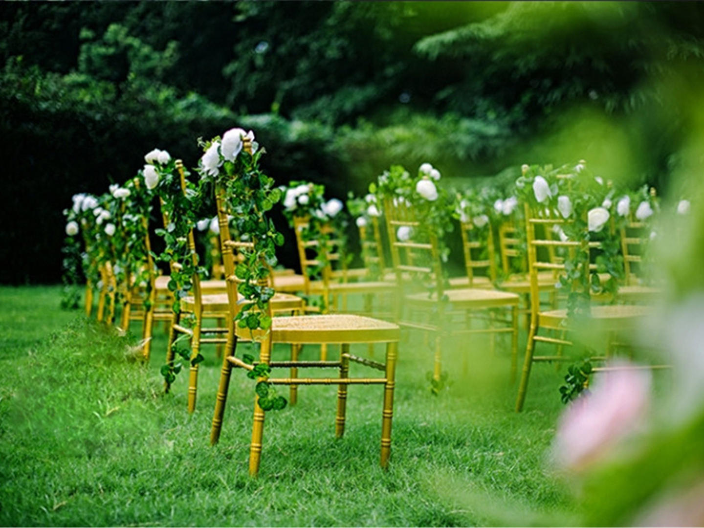 【左一知道】你愿意嫁给我吗