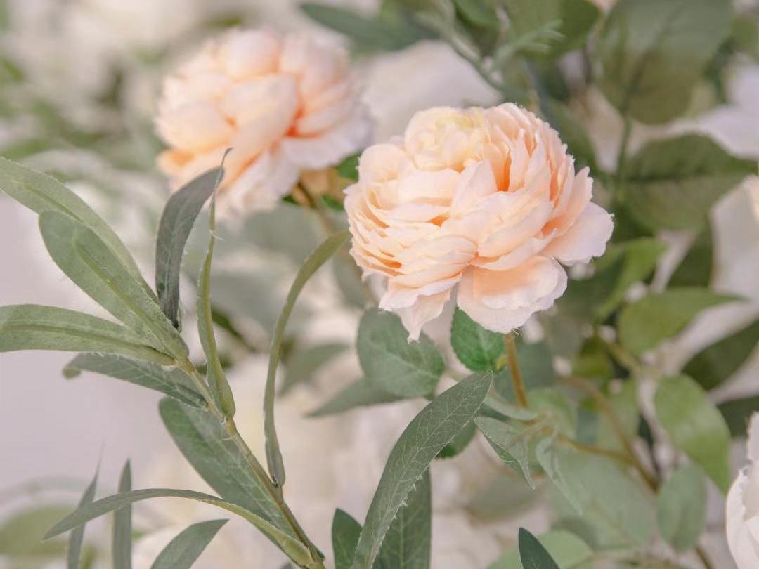 【香泽苑】白色系简约风婚礼