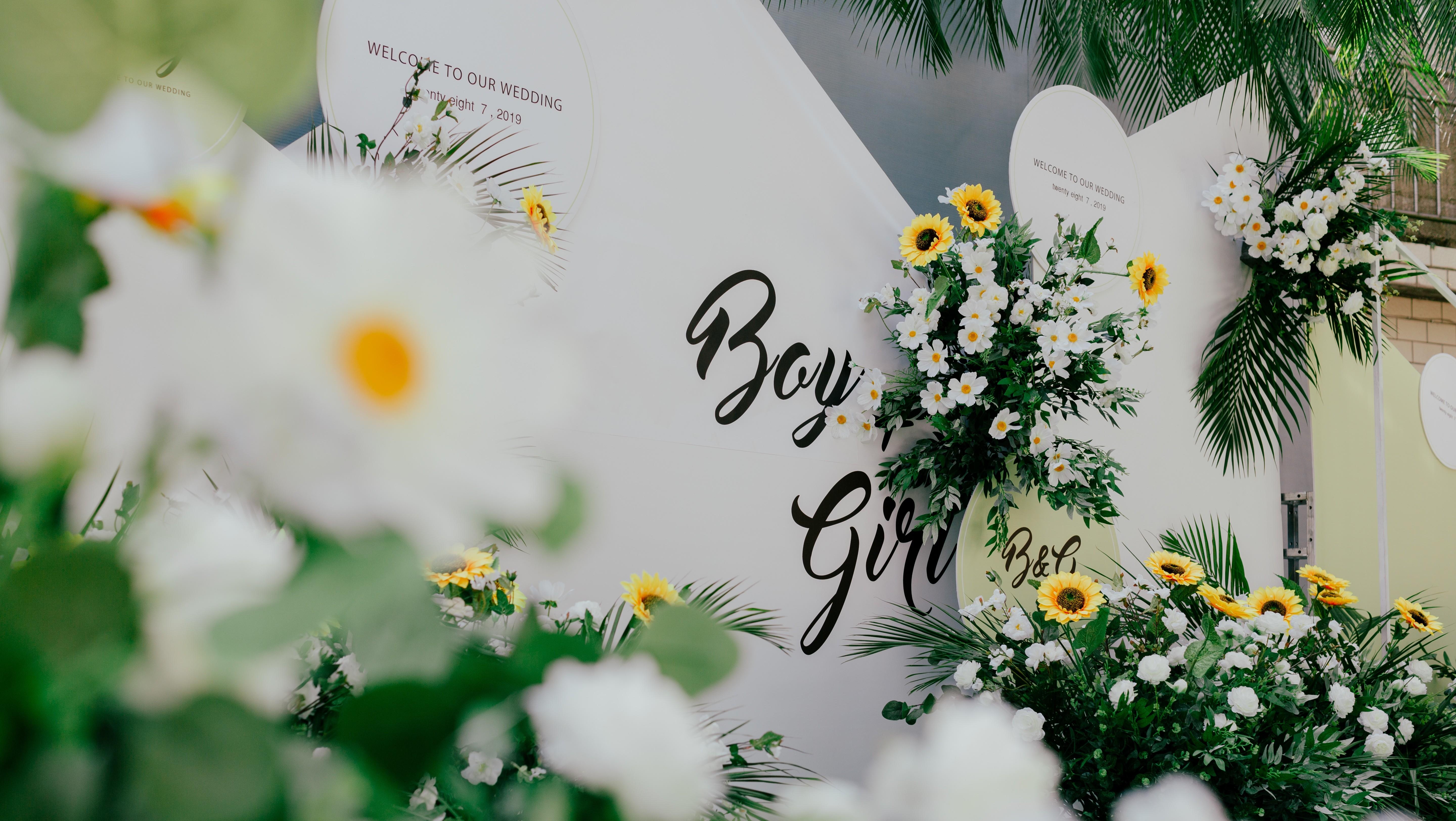 【息烽爱诺婚礼】2020年爆款/小清新/唯美/浪