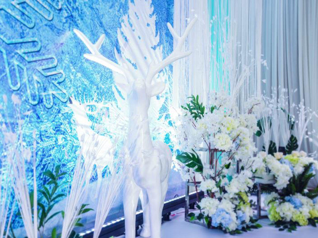 蓝色冰雪主题婚礼，浪漫主题婚礼送主持，摄像，跟妆