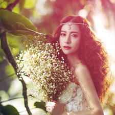 暖城绿植-绿野仙踪    