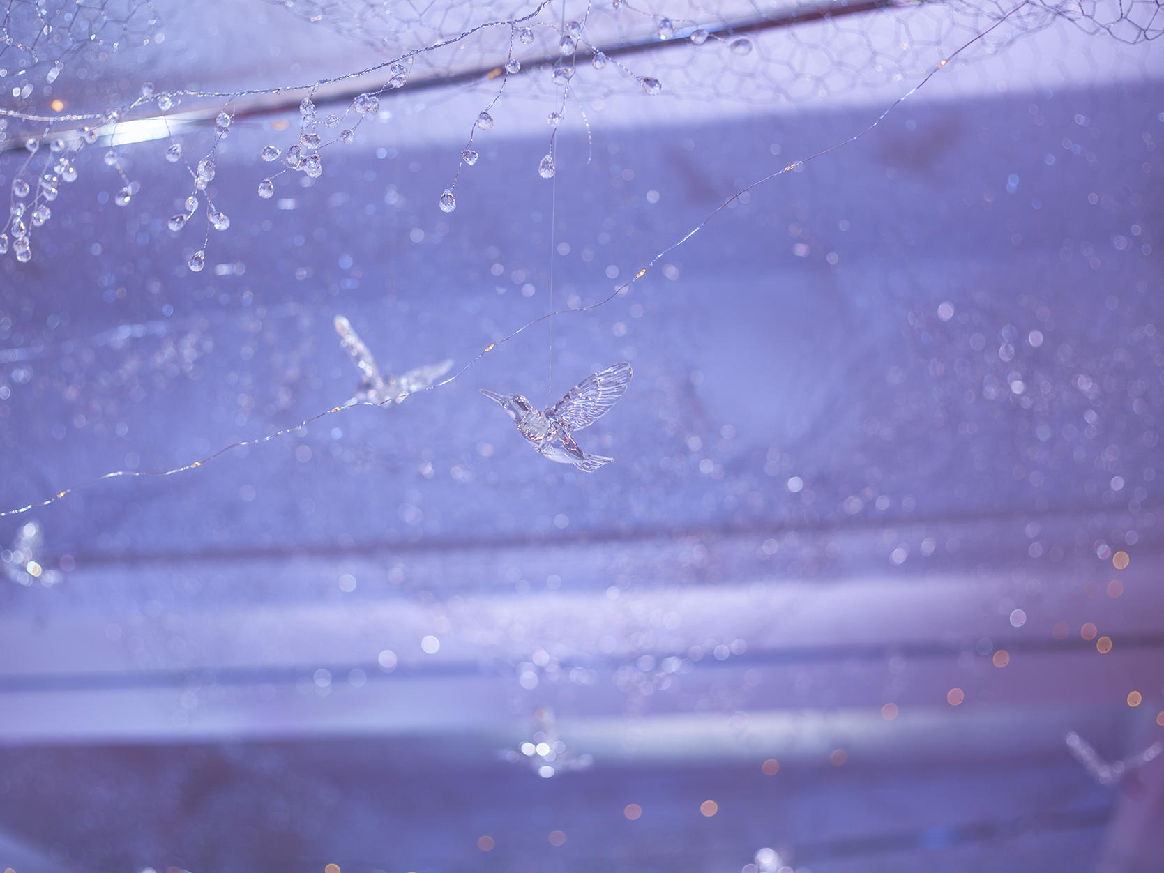 拾年相约，相约今生，今生有你，珍爱一生。