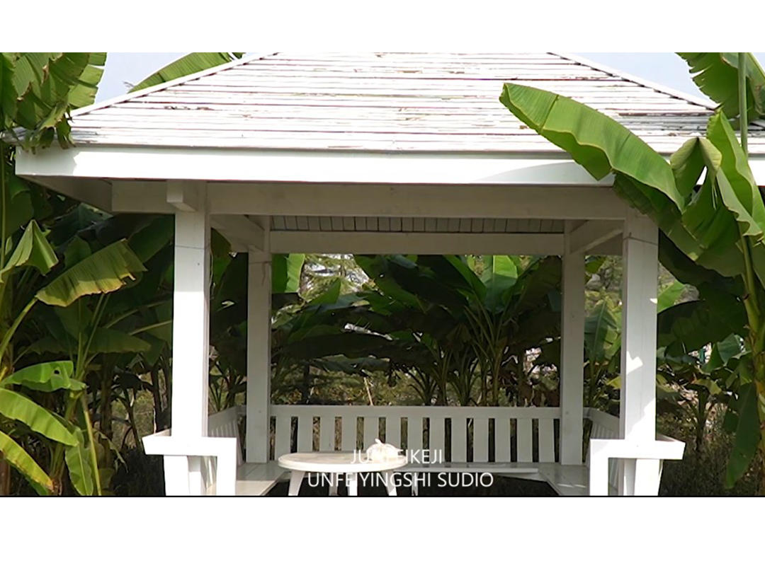 明星定制上海总监档欧美 电影纪实