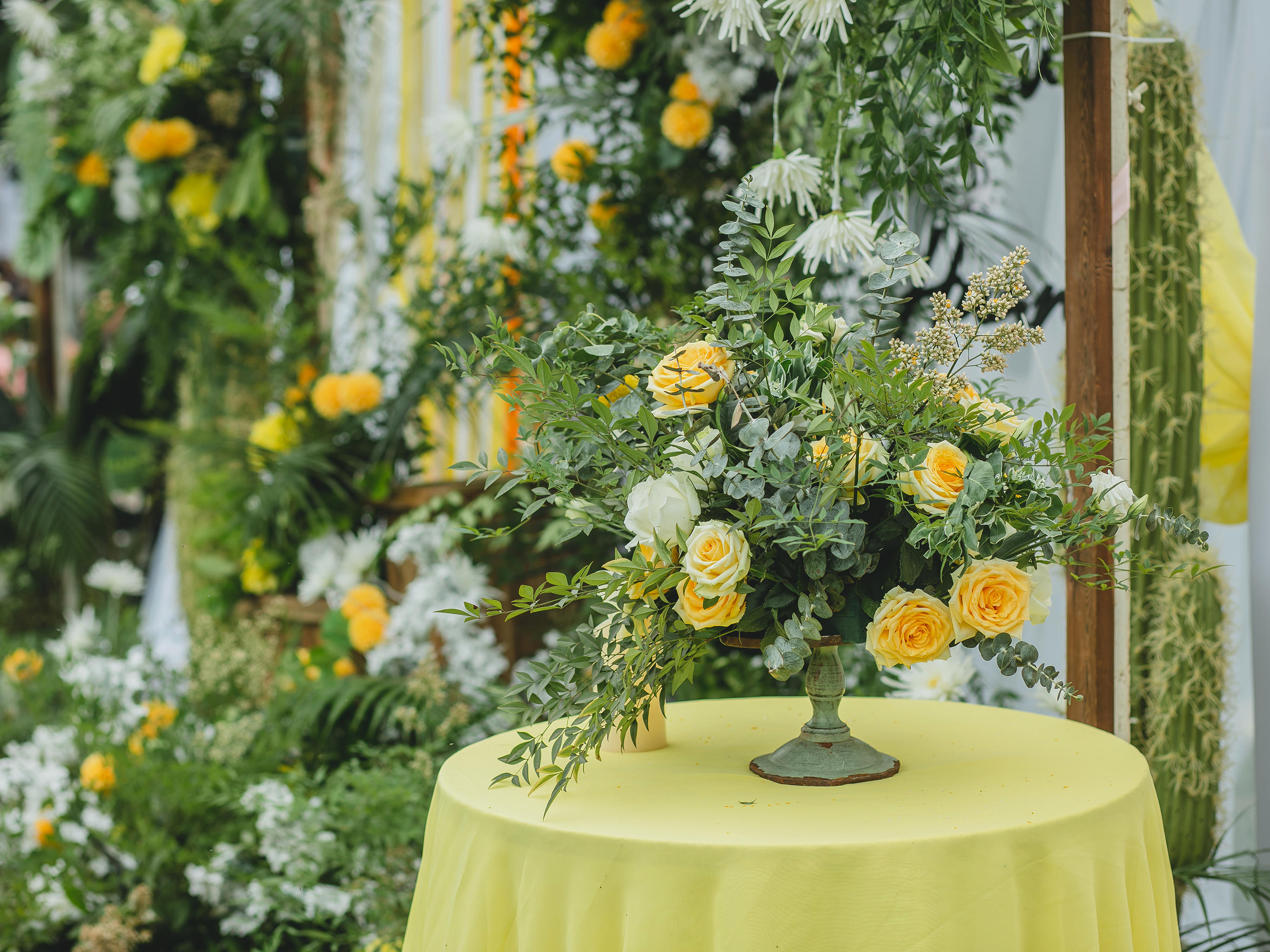 2020新品套餐限时半价预售