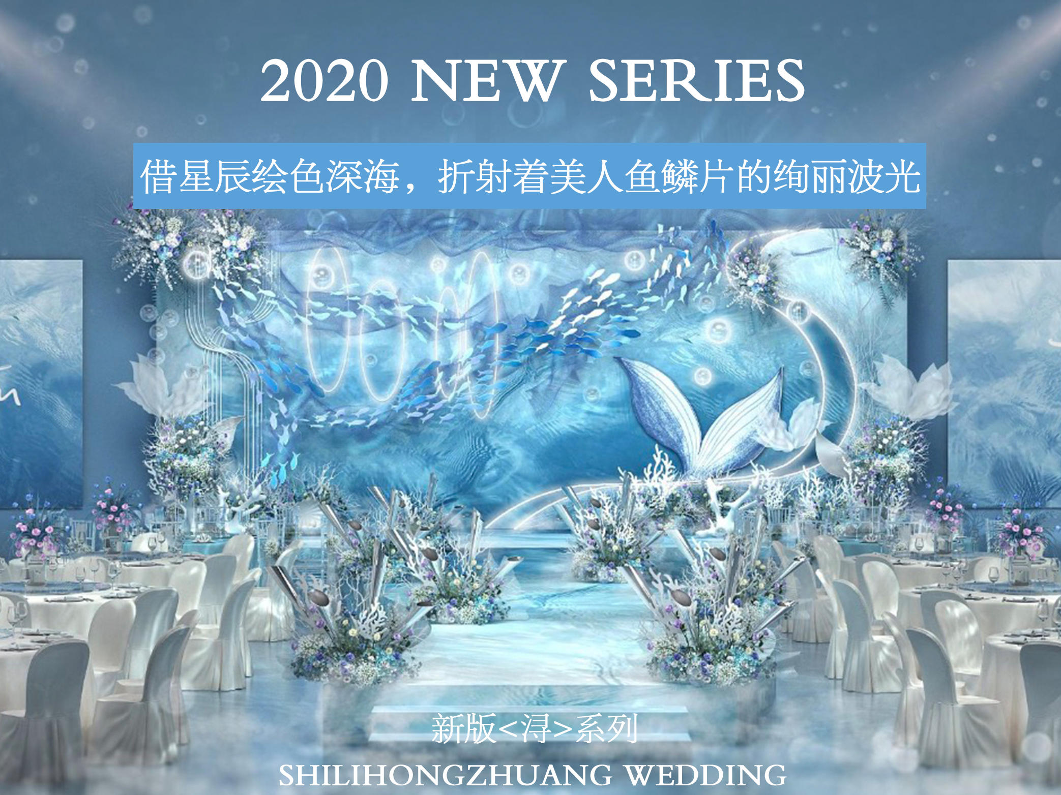 《浔》2020全新系列    