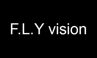 F.L.Y vision