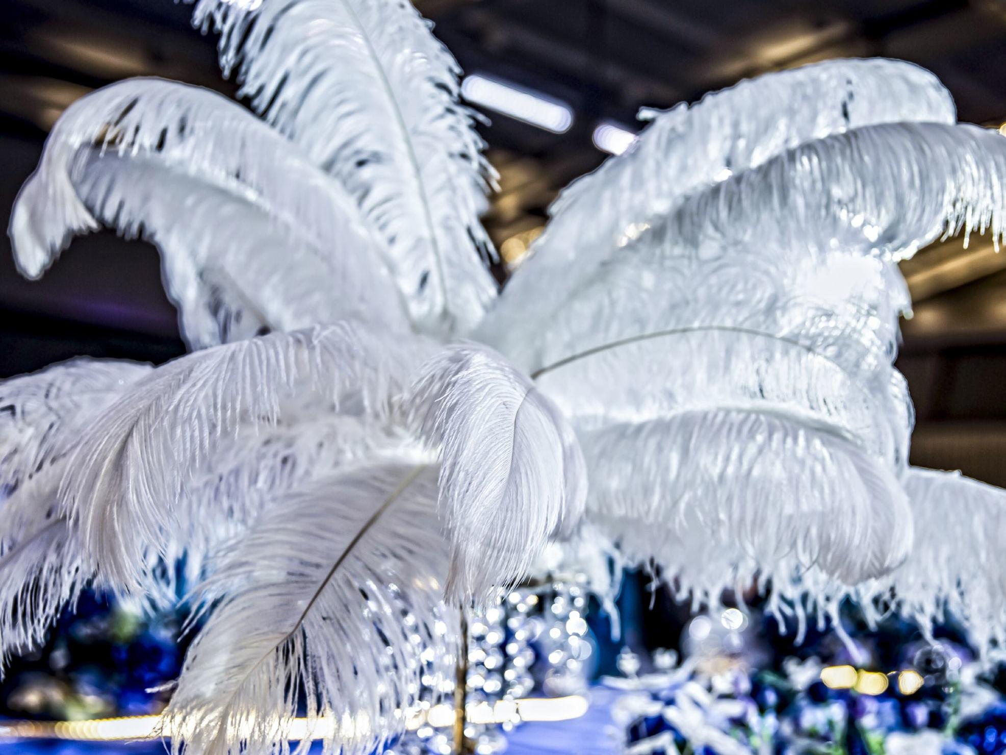 邯郸市艺都婚礼/小预算 星空