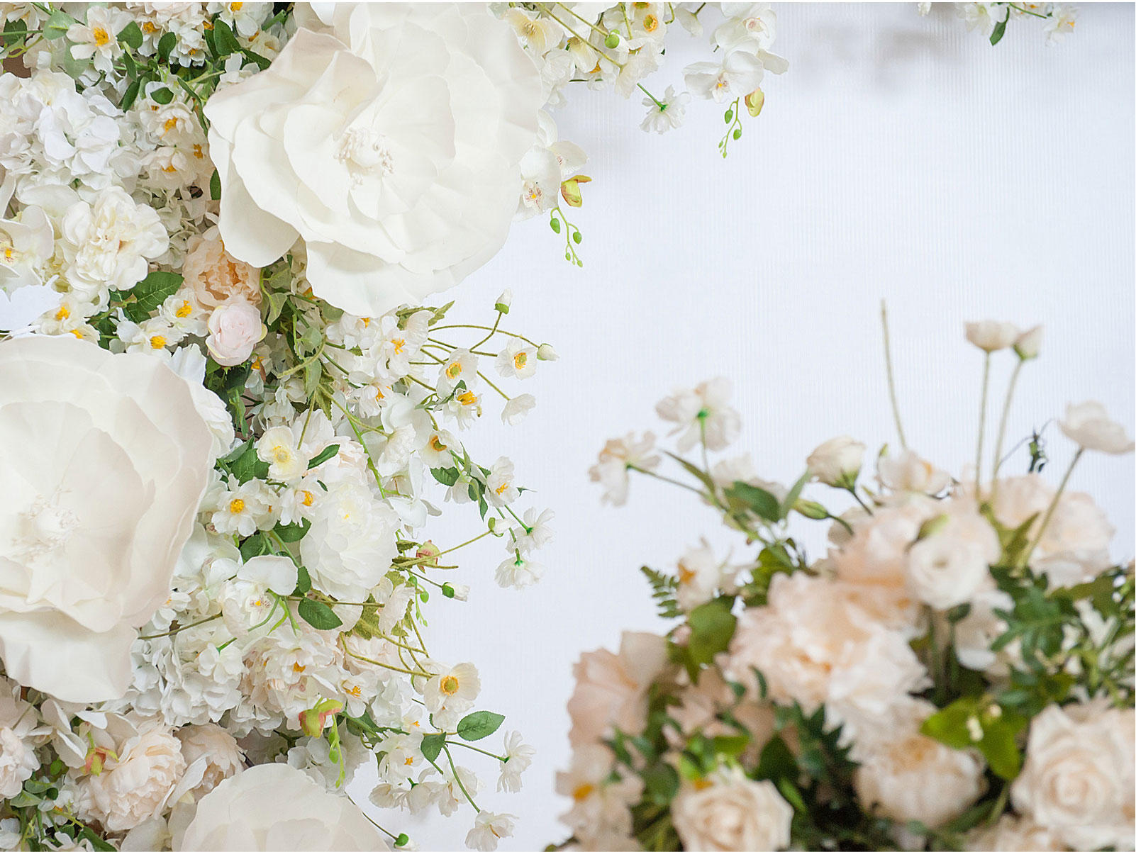 「超性价比」含主持人摄像师唯美婚礼