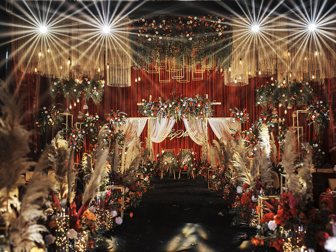 【璀璨之星|热销爆款】明星同款＋含四大金刚