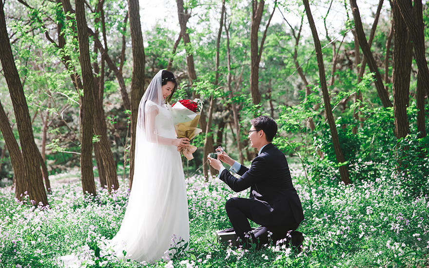 种影像客片|清新森系森林婚纱照