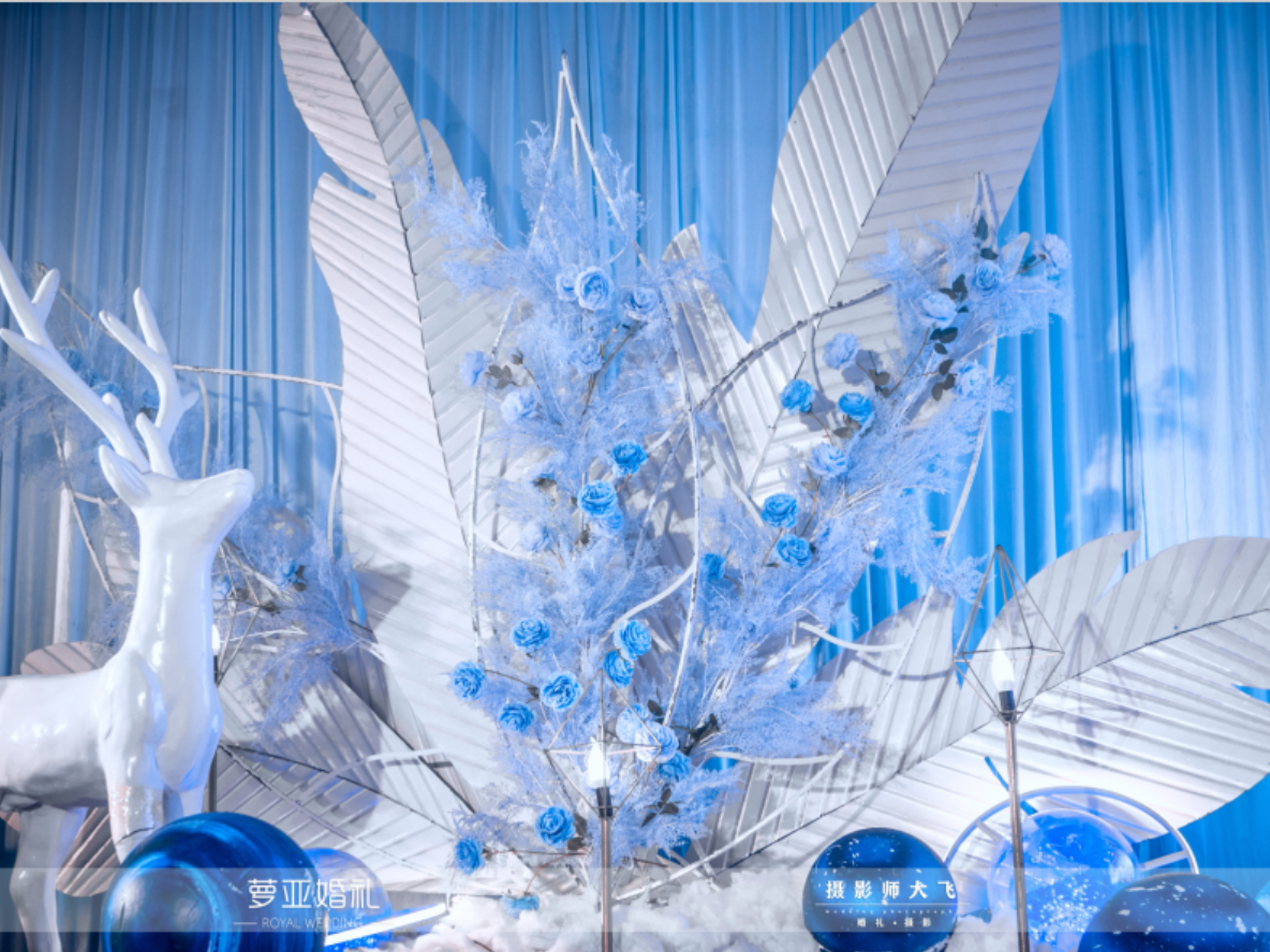 【十堰萝亚婚礼】浪漫星空婚礼 点点星光