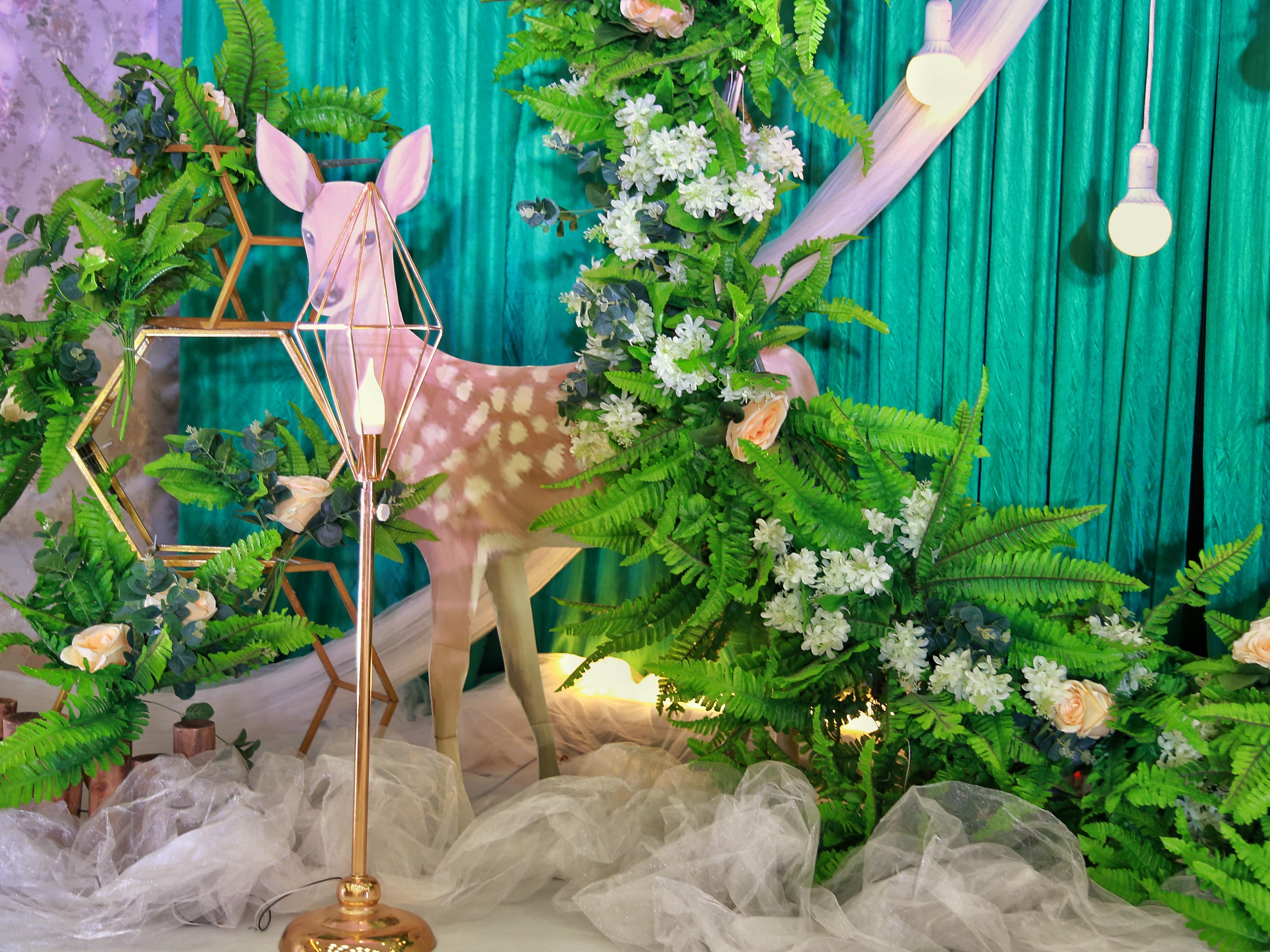 小预算 精致型婚礼+森系+服务团队