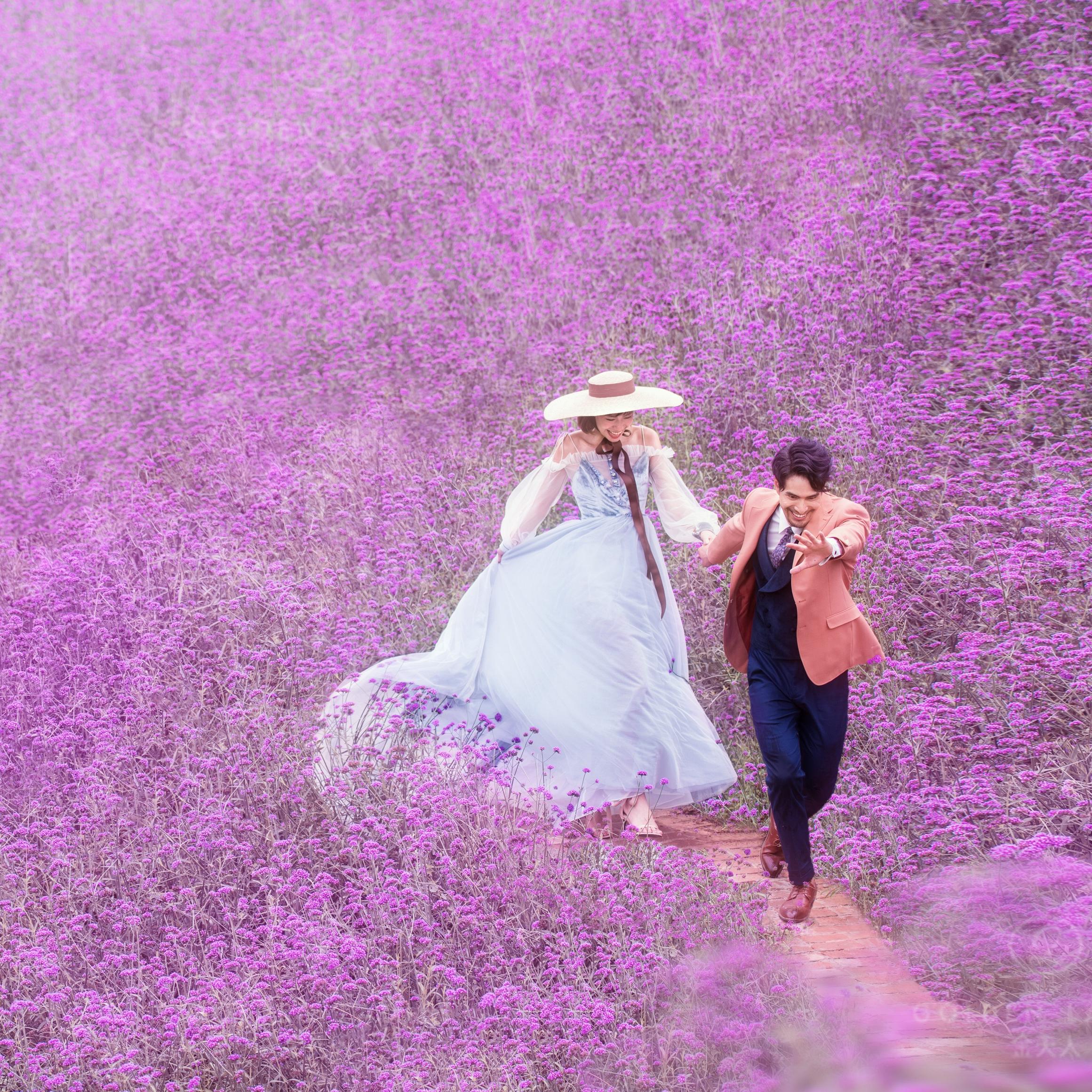 金夫人旅拍~紫色的梦让人遐想和回味