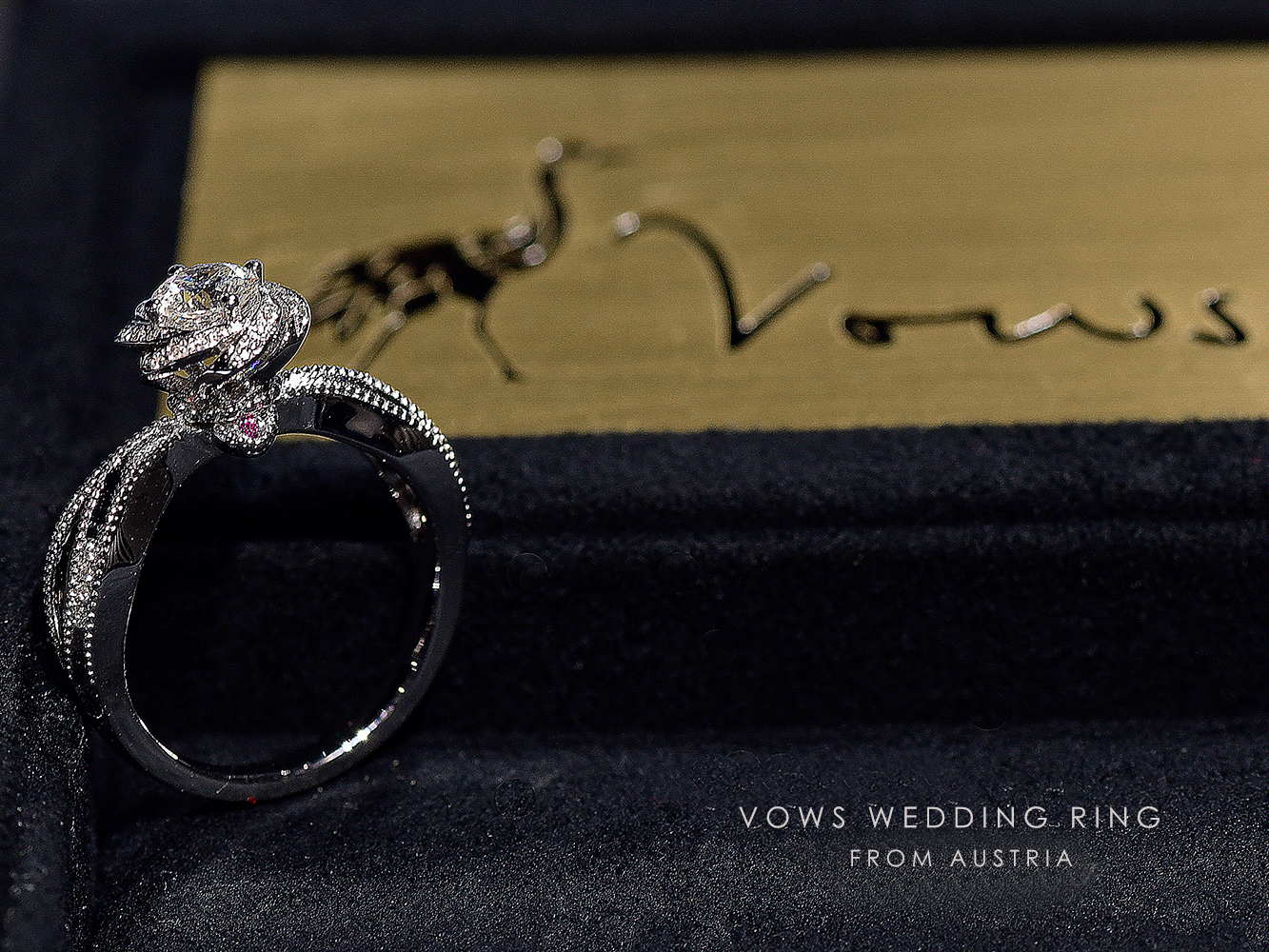 洛维的祈祷 - 誓言ONEVOWS&Co.