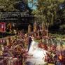 哈利波特·魔法城堡·梦幻之旅·户外婚礼·乐美婚礼