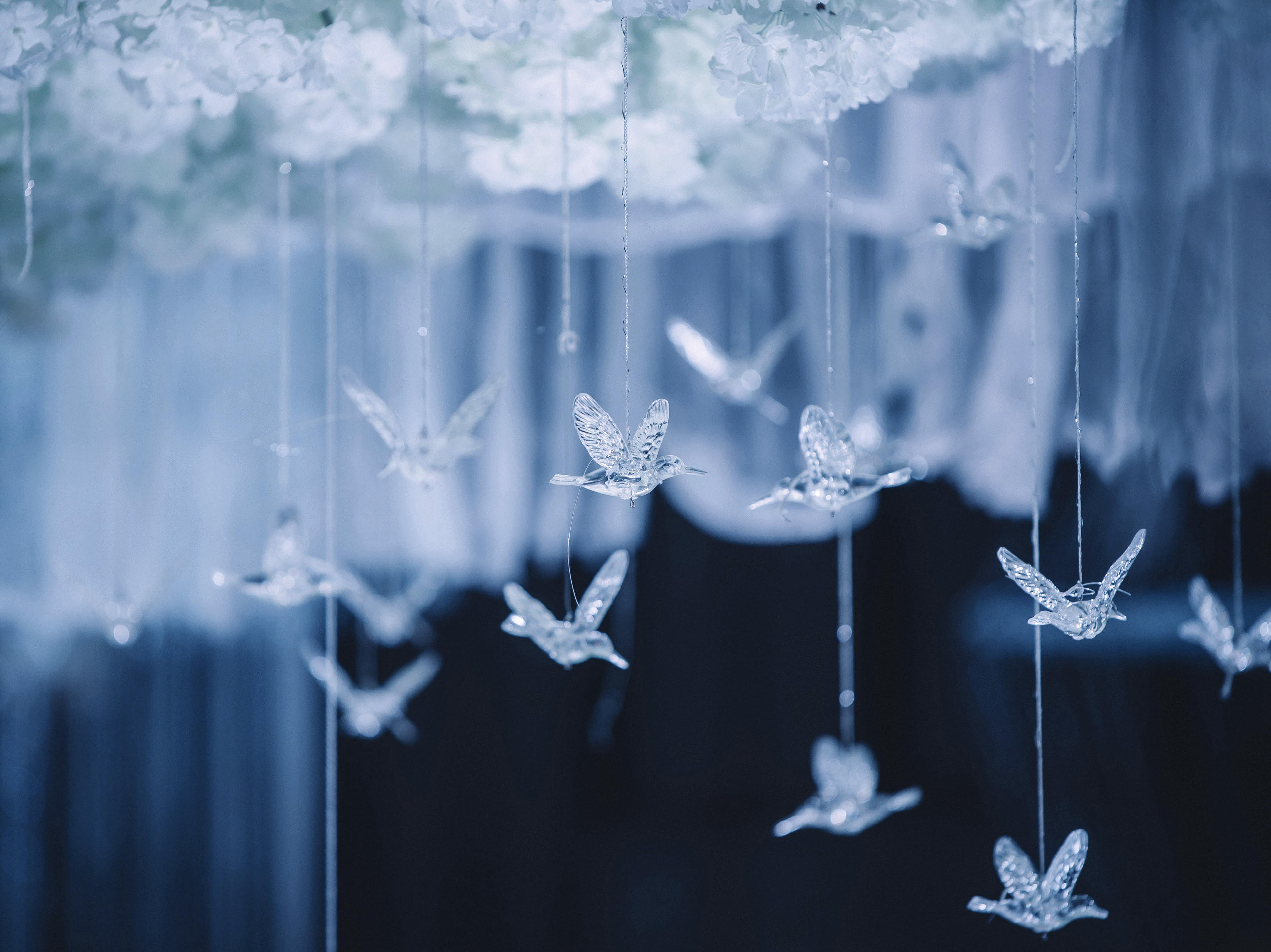 【萝亚婚礼】蓝色梦幻婚礼