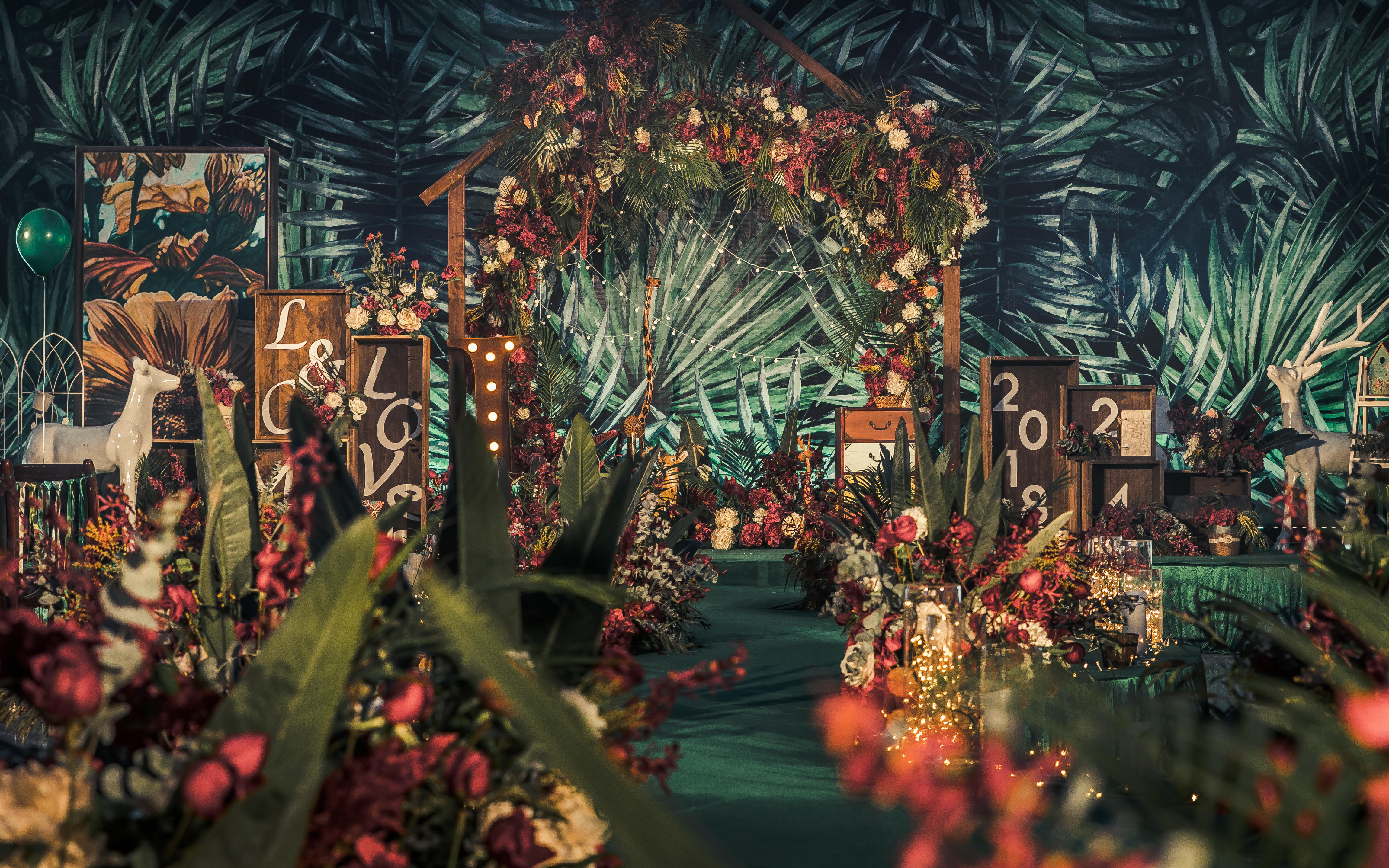 【卡诺定制婚礼】漫步丛林