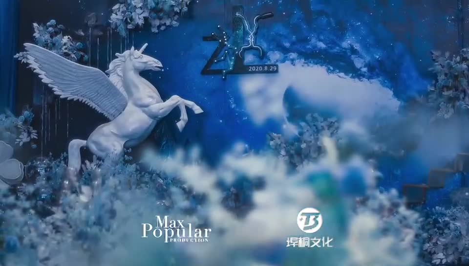 《梦幻星际》铂尔曼星空婚礼