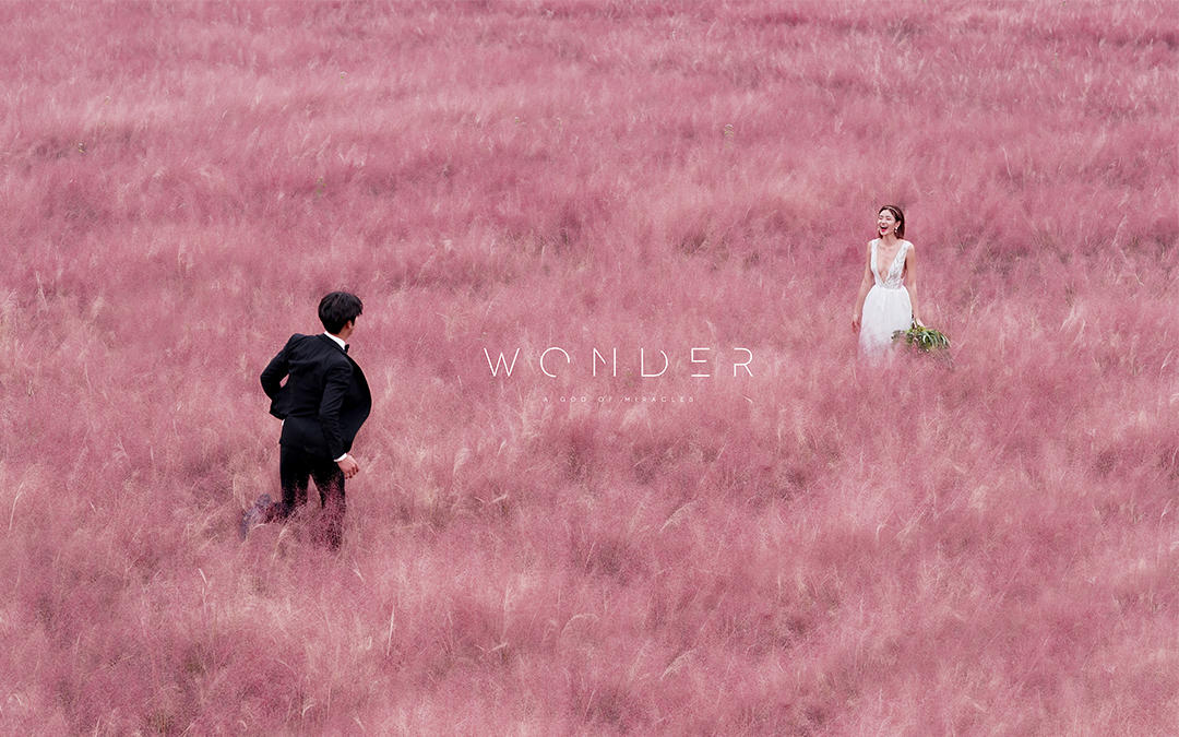 【匠心】2019限量特惠 店長(zhǎng)推薦 唯美清新