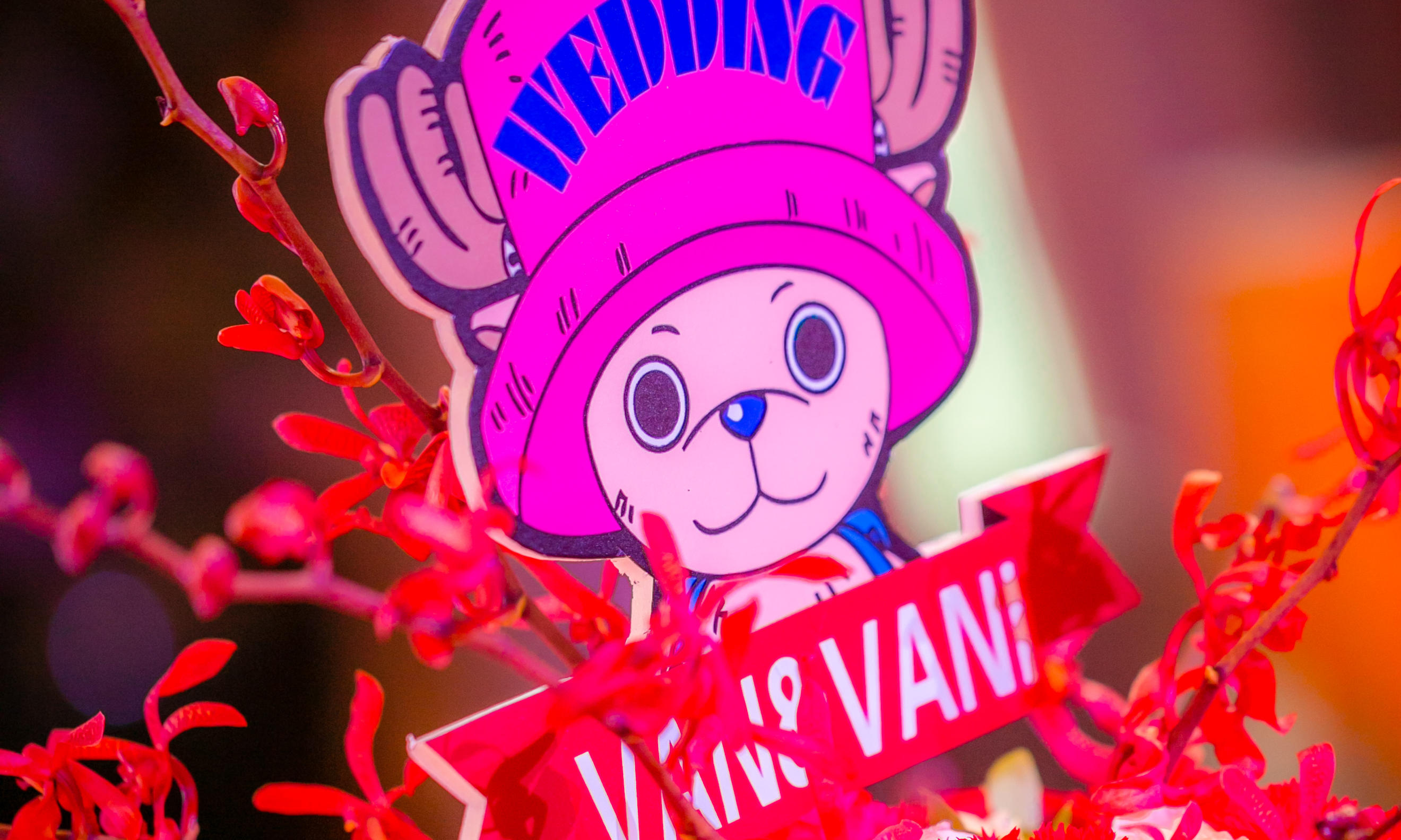 ［纪念策划·海贼王乔巴婚礼］