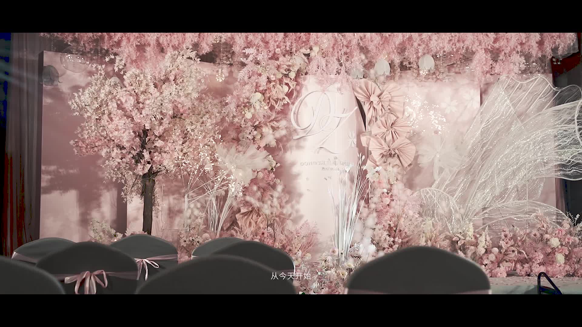 主持 王旭 +专业督导一名