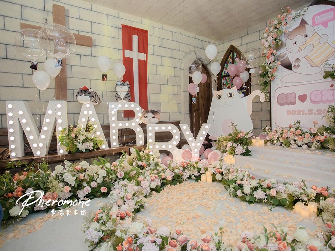 卡通猫咪主题｜惊吓过后的浪漫｜密室求婚