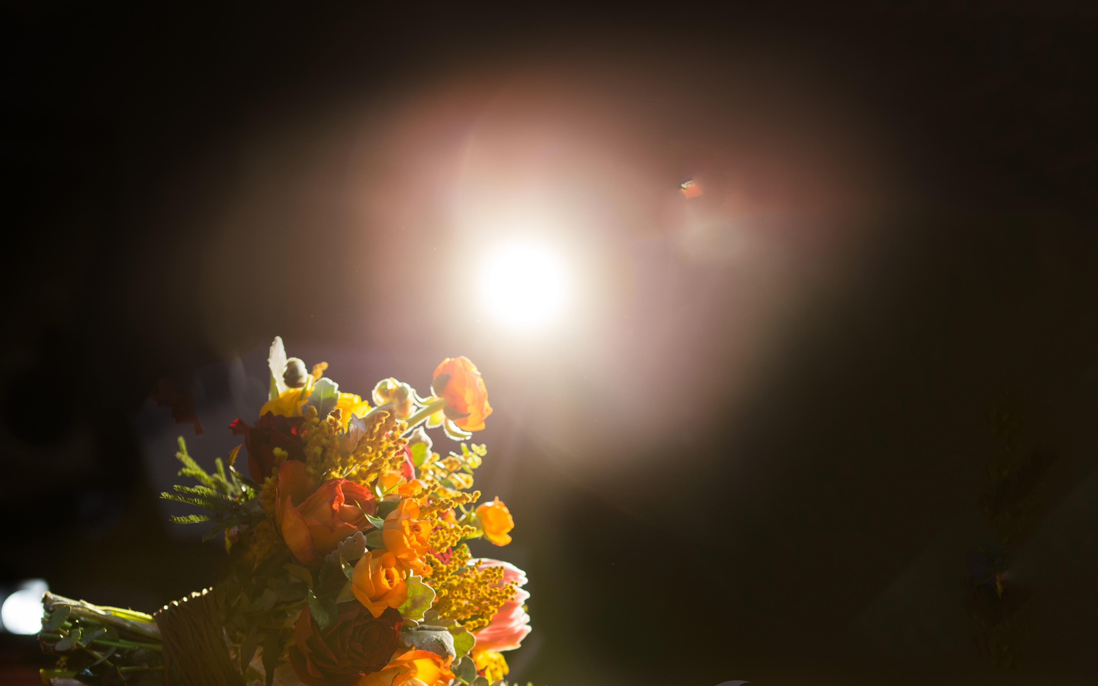 【圣达婚礼】秋实-赏繁华落尽