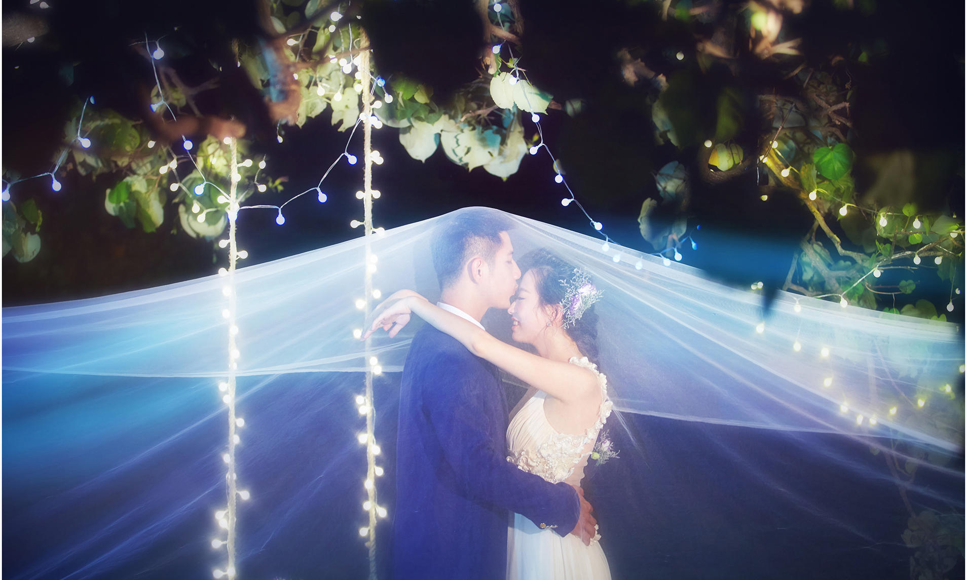 三亚百合经典 | BAIHE 夜空中最亮的星