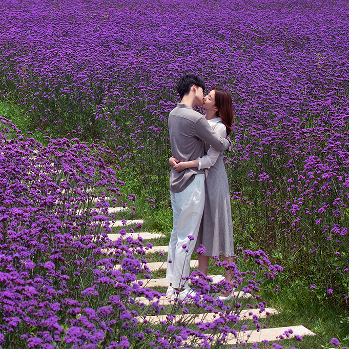 私人定制服务丨明星婚纱照丨蒋欣同款婚纱丨电影剧情