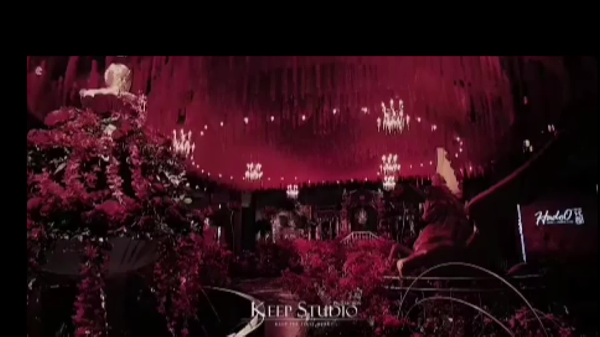 豪华套餐总监主持+ 婚礼督导+新娘秘书+音乐DJ