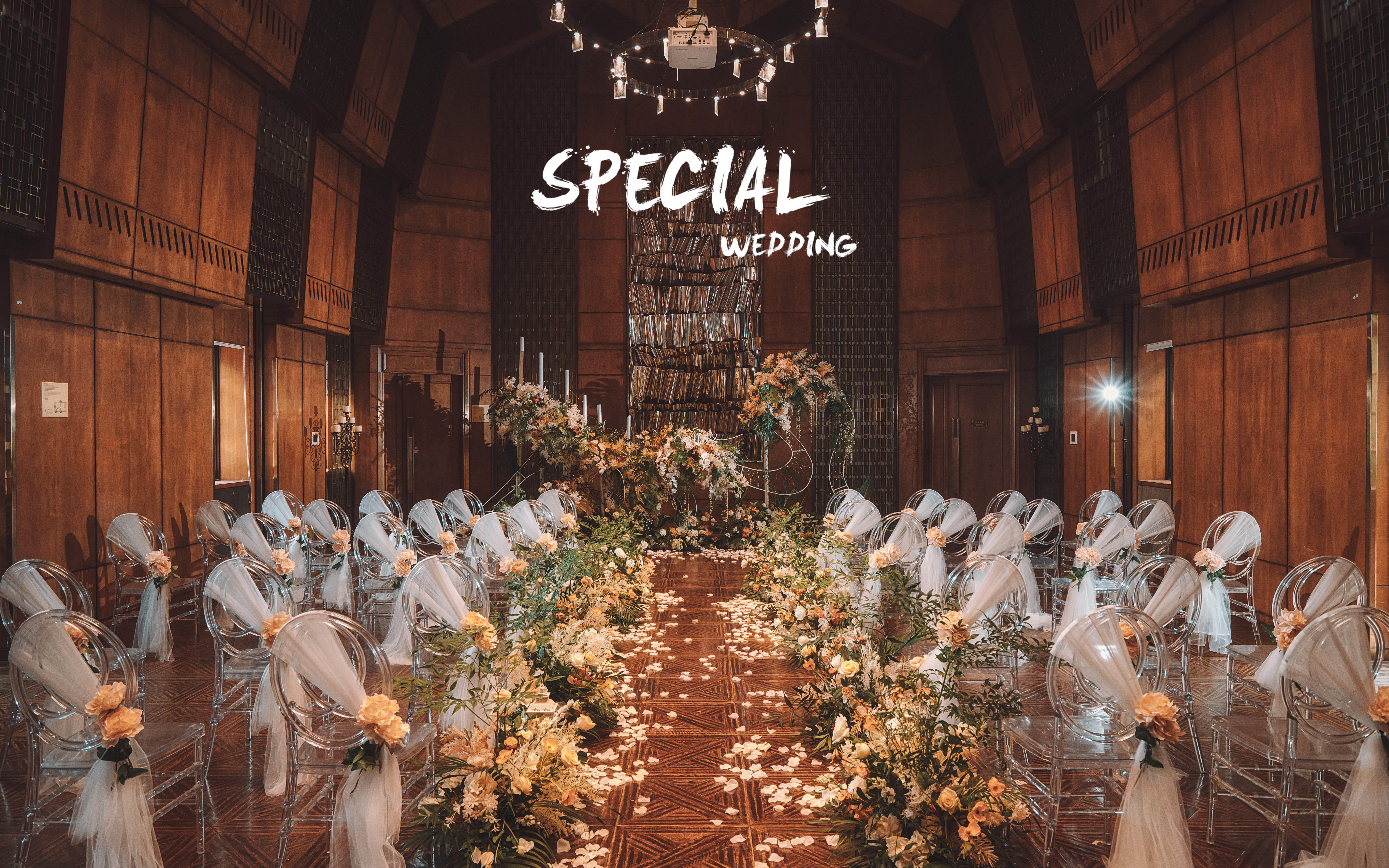 Special | 夏日里的雨林