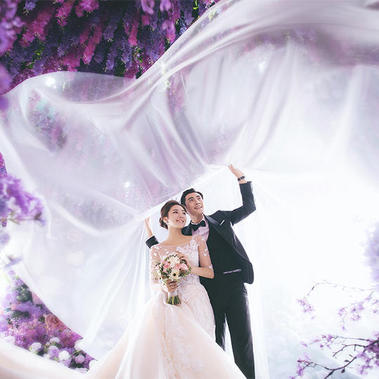 周口金夫人---星梦奇境