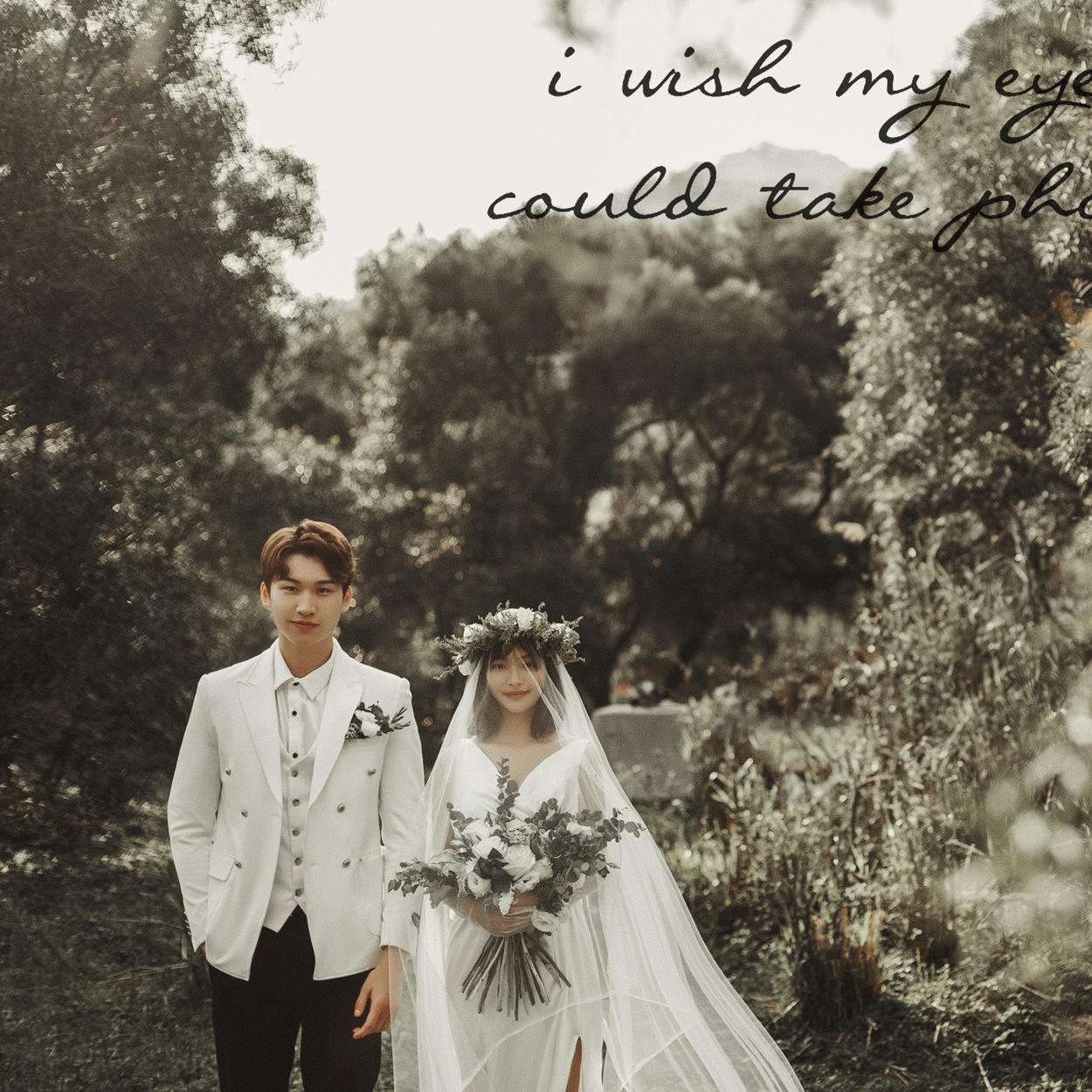 「罗曼罗兰森系系列」蔷薇之梦