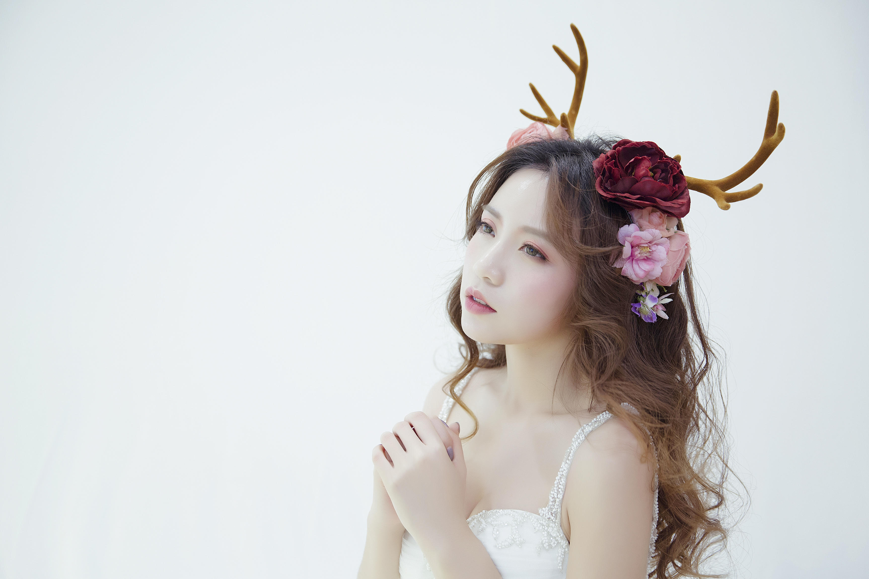 小鹿