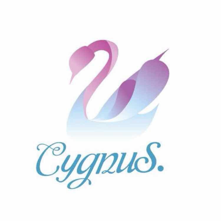 CYGNUS高级