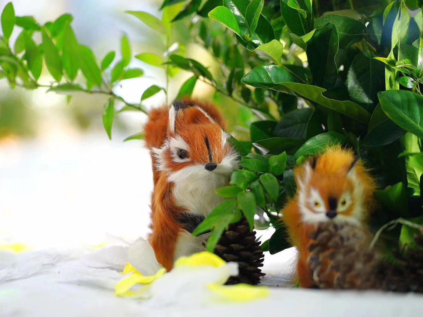 走进这片被月光笼罩的森林