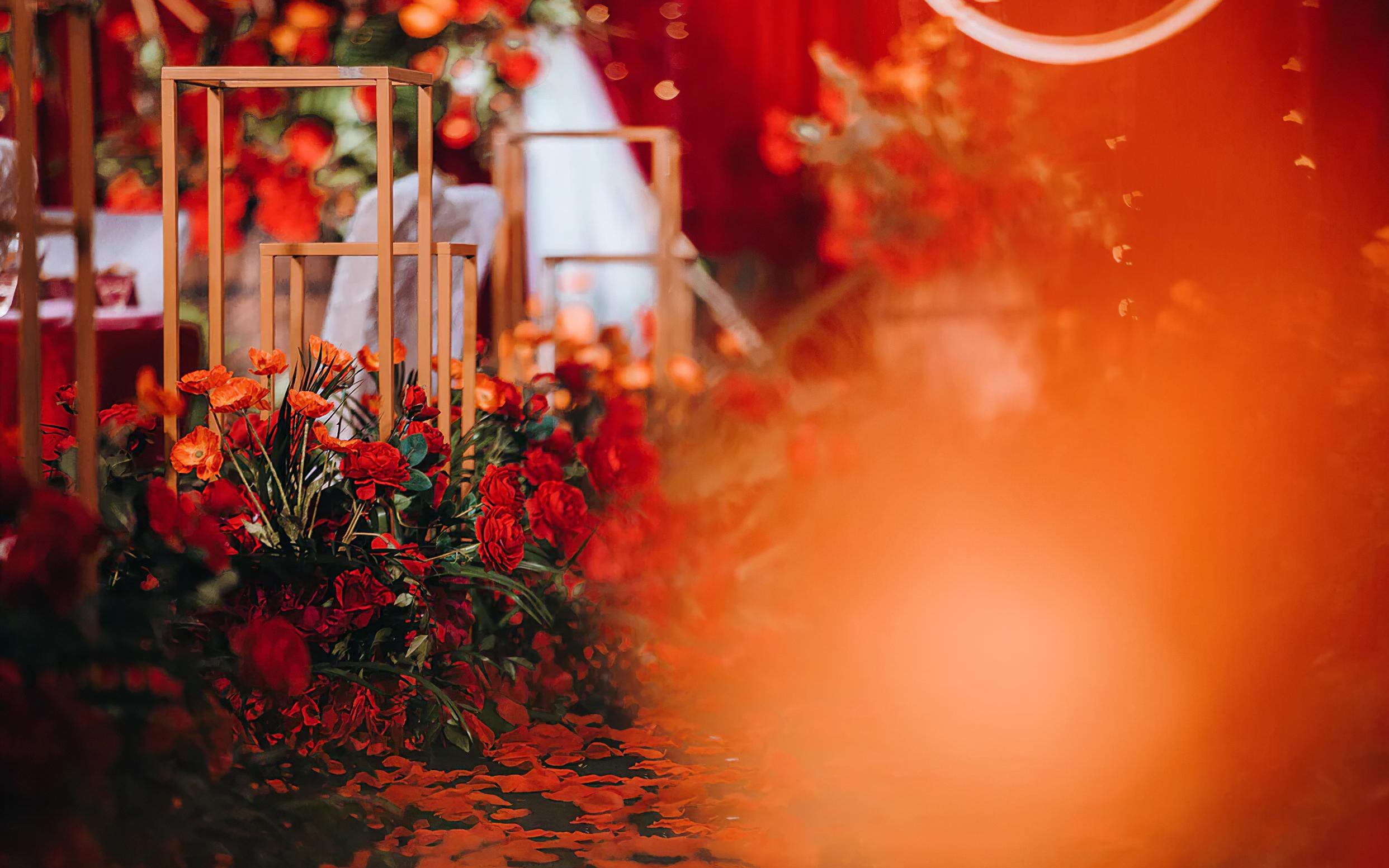 橙心橙意ins风小众婚礼|卡诺WEDDING