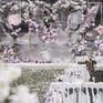 【满庭花盛】紫白色户外清新婚礼