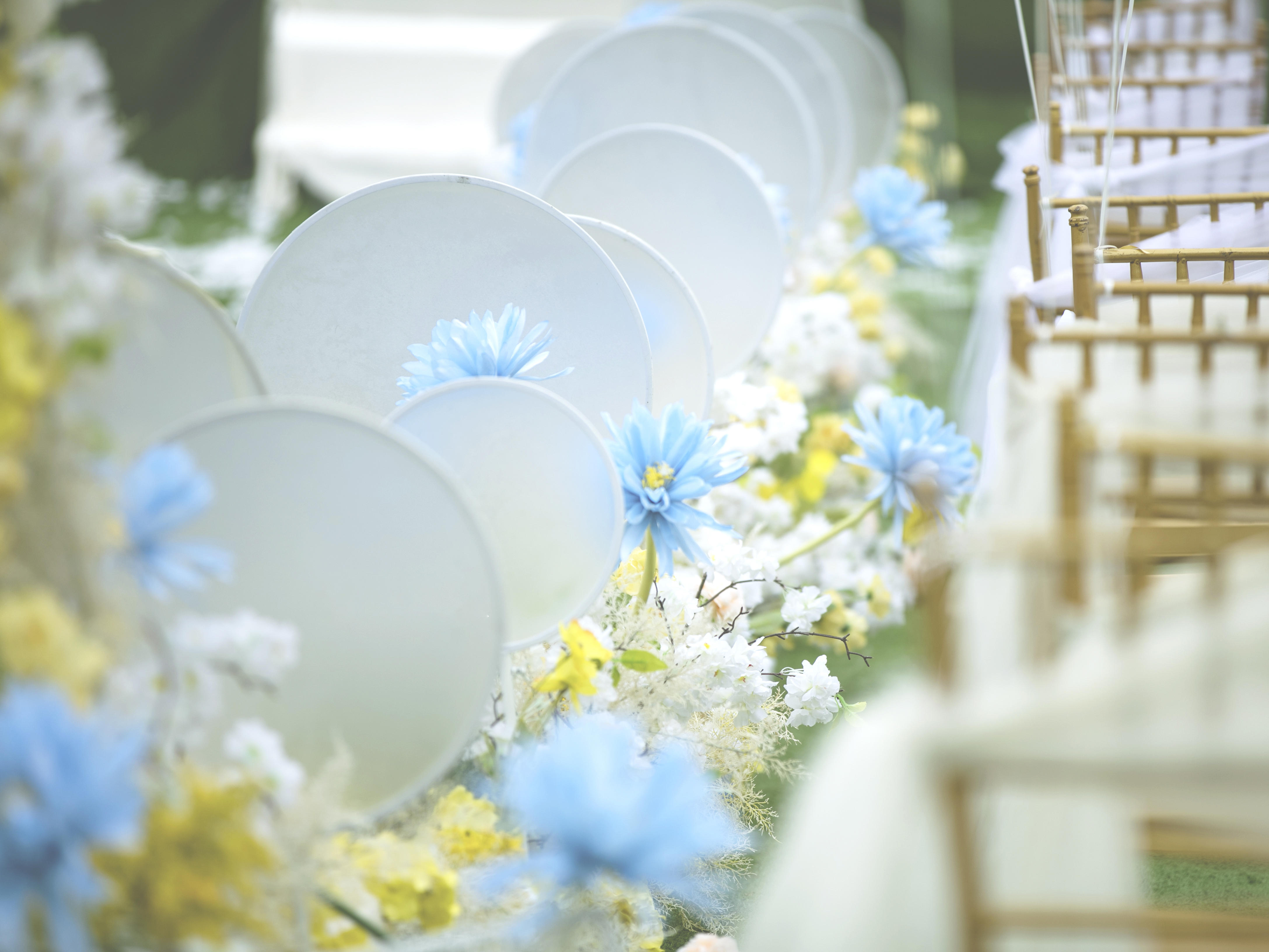 【柏菲婚典  立减2000】户外清新婚礼