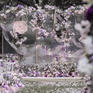 【满庭花盛】紫白色户外清新婚礼