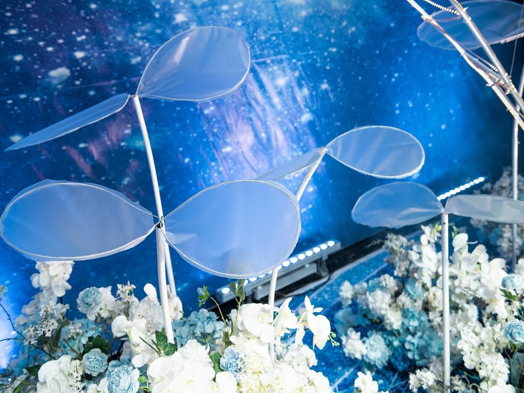 梦幻庄园婚礼工作室.苍溪国大.哆啦A梦主题婚礼