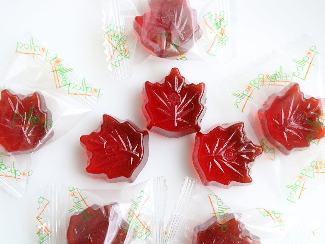 加拿大进口宝利宝水果枫糖结婚喜糖西饼满月宴回门
