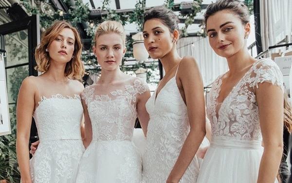 AMSALE 淡泊从容的美国精英